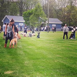 Dog Park Re-Opening 2019