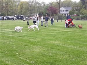 Dog Park Re-Opening 2019