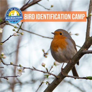 Bird ID Camp