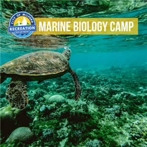 Marine Biology Camp