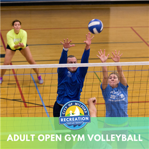 Adult Open Gym Volleyball 2022