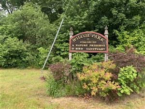 Wilcox Park Nature Trail