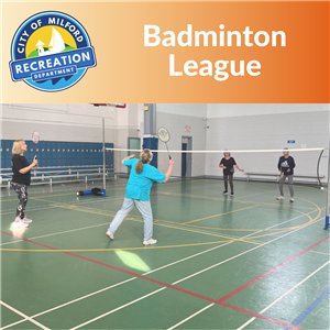 Badminton League