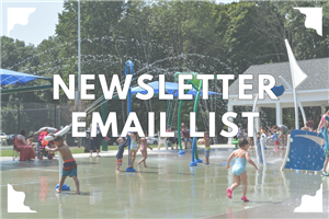 Newsletter email list